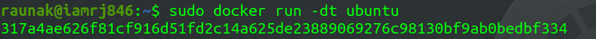Connecting A Docker Container In Bridge Network